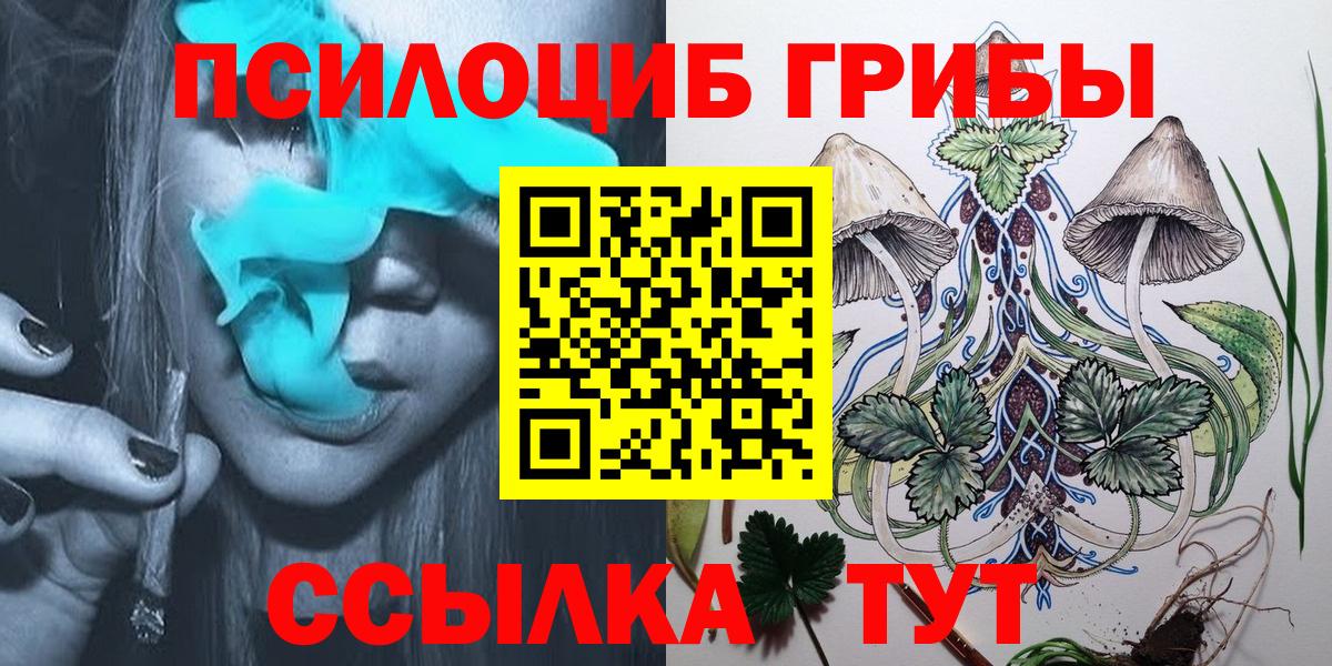 наркота  Галлюциногенные грибы MAGIC MUSHROOMS  Вход с VPN  Прокопьевск 