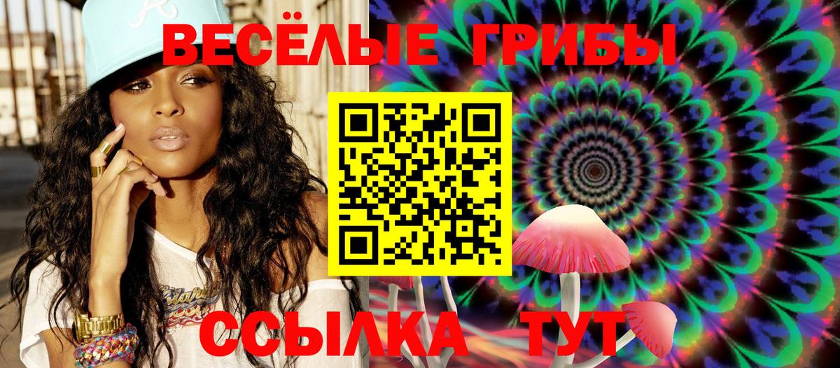 Галлюциногенные грибы Cubensis Прокопьевск